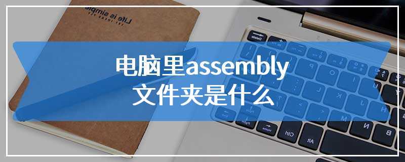 电脑里assembly文件夹是什么