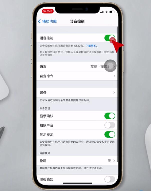 iphone信号边上有麦克风标志(3)