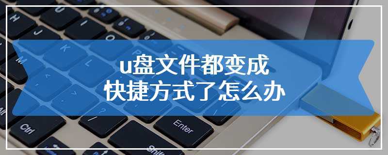 u盘文件都变成快捷方式了怎么办