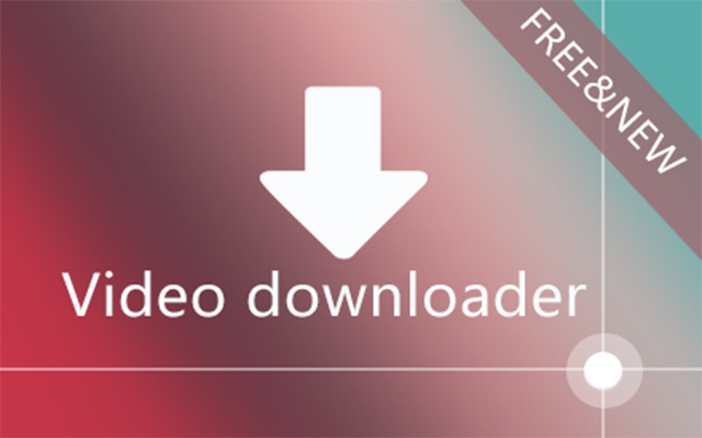 Video Downloader professional插件
