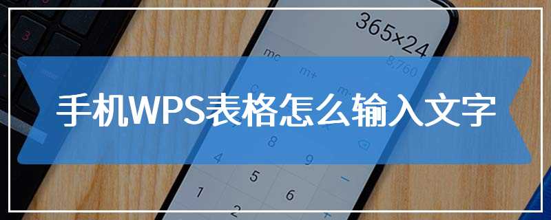 手机WPS表格怎么输入文字