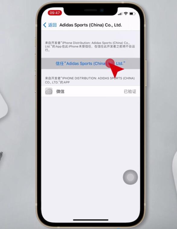 iphone信任app怎么设置(4)