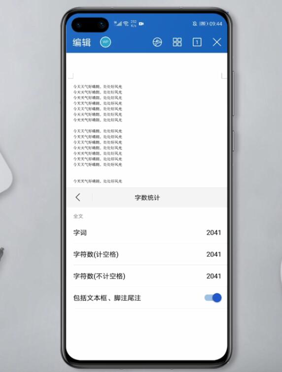 手机WPS如何统计字数(4)