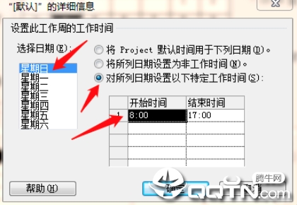 project2010中文版