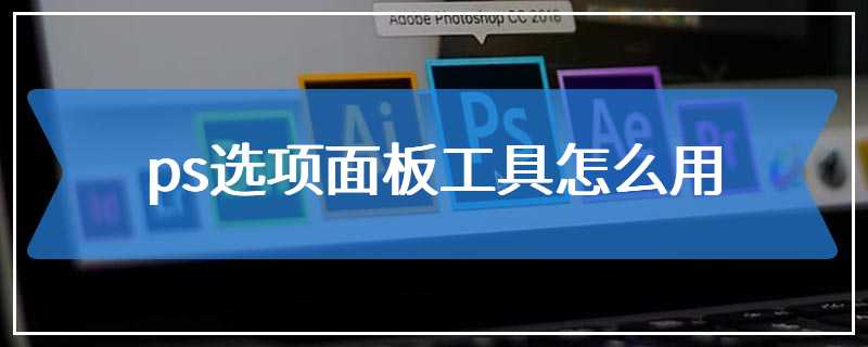 ps选项面板工具怎么用