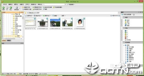 ACDSee9.0中文版(免费版)