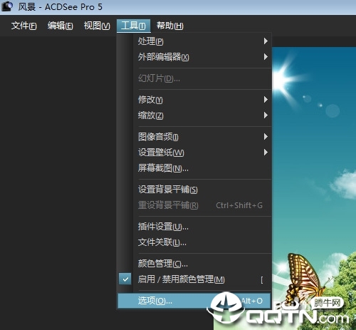 ACDSee9.0中文版(免费版)