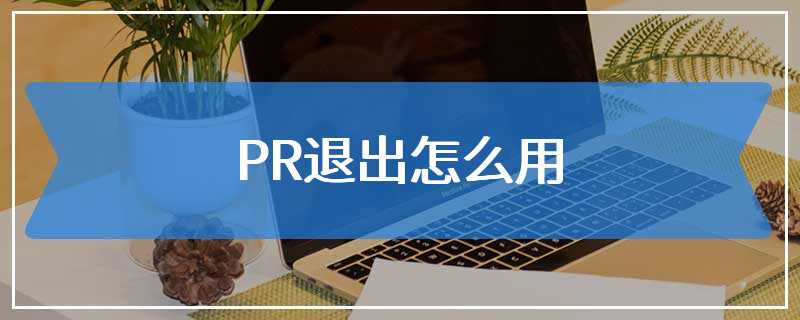 PR退出怎么用