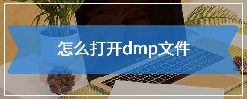 怎么打开dmp文件