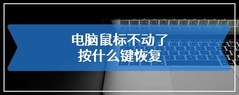 电脑鼠标不动了按什么键恢复