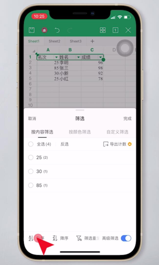 手机WPS表格怎么筛选(6)