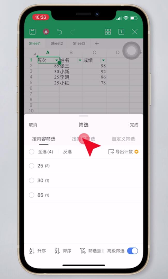 手机WPS表格怎么筛选(8)