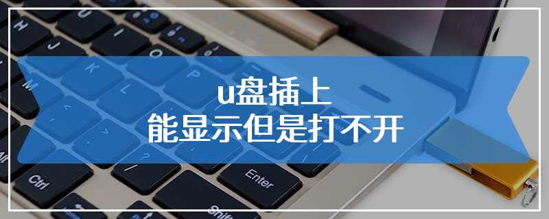 u盘插上能显示但是打不开