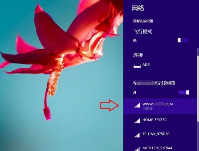 Win8.1怎么连接隐藏SSID网络(3)