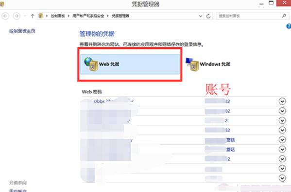 怎么使用Win8凭据管理器查看网页保存的账号密码(1)