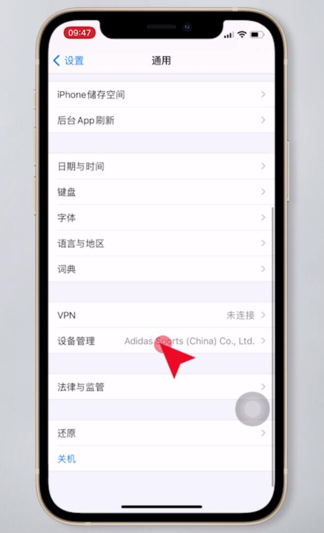 iphone ios14信任设置找不到(3)