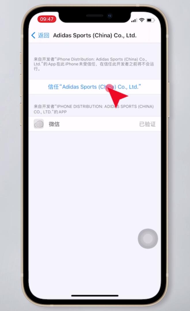 iphone ios14信任设置找不到(5)