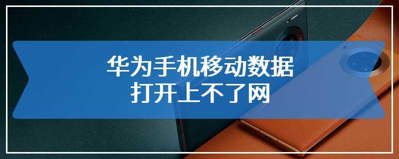 华为手机移动数据打开上不了网