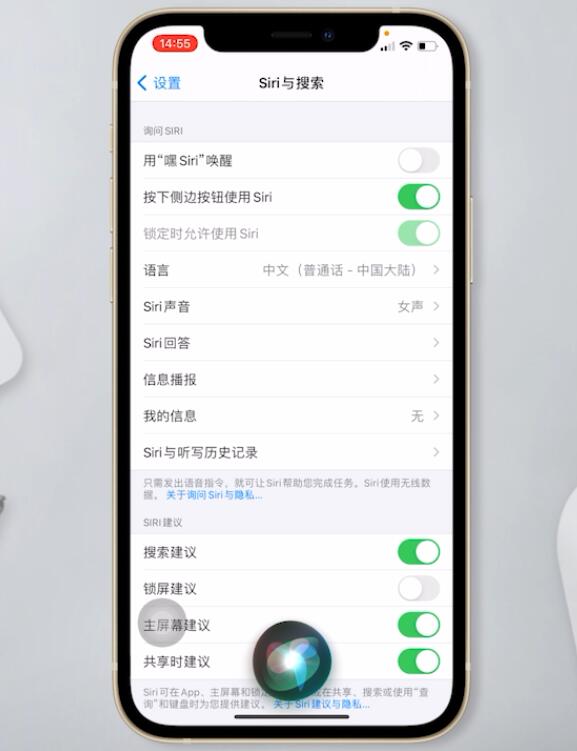 苹果12怎么呼叫siri(5)