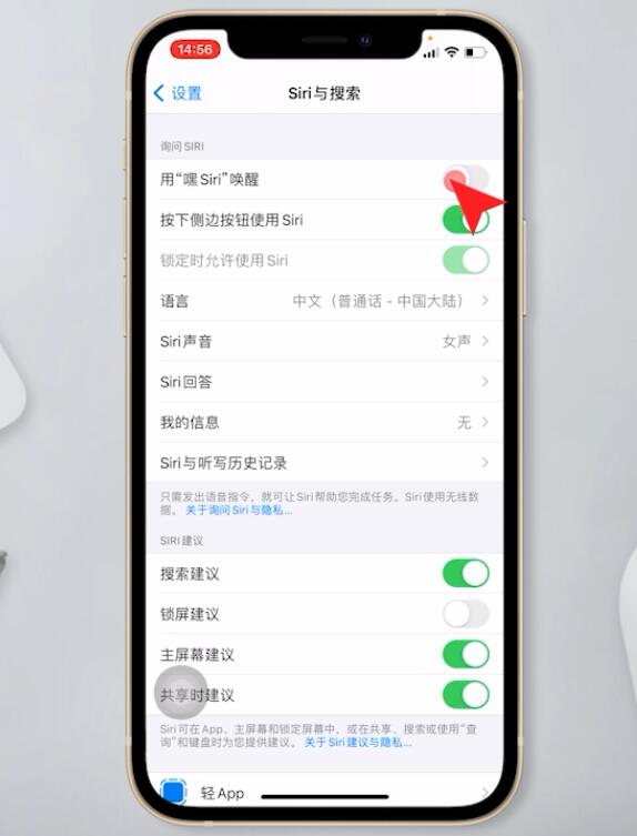 苹果12怎么呼叫siri(6)