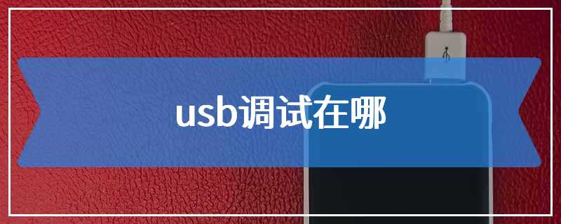 usb调试在哪