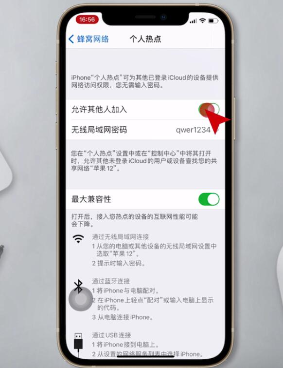 苹果个人热点设置在哪里设置(4)