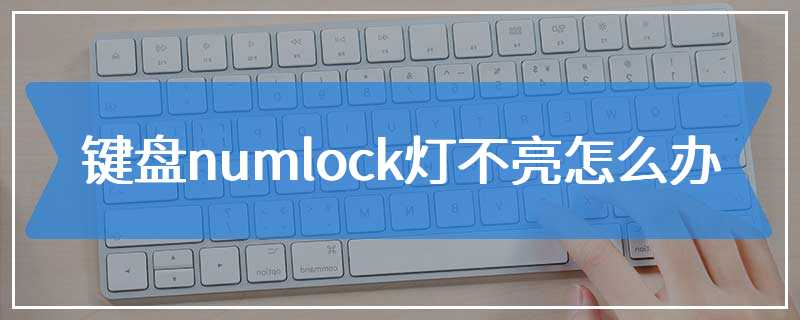 键盘numlock灯不亮怎么办