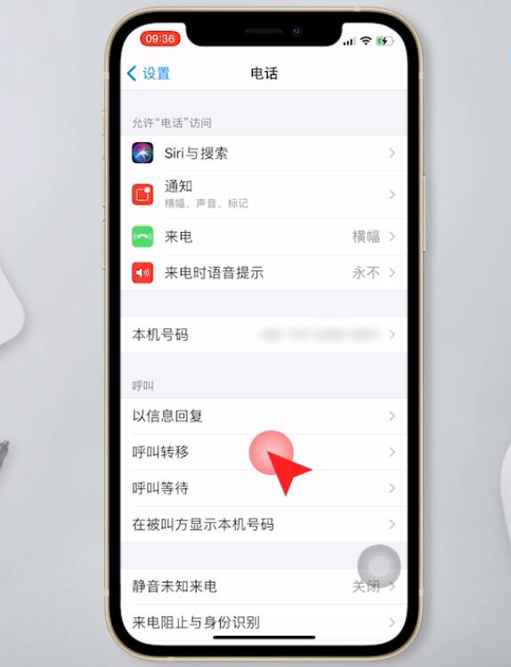 苹果手机呼叫转移怎么解除(2)