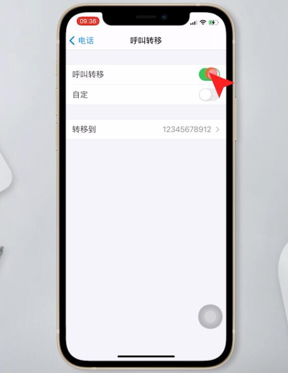 苹果手机呼叫转移怎么解除(3)