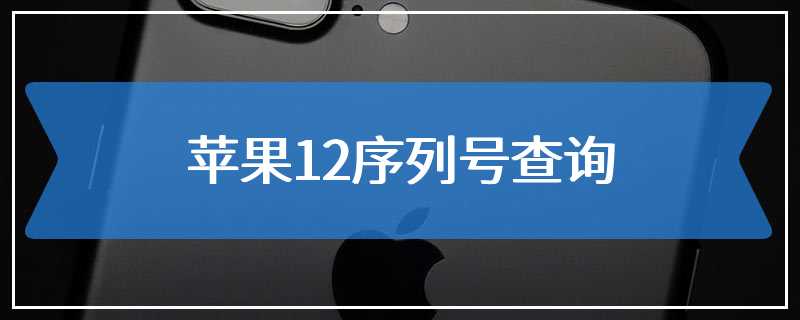 苹果12序列号查询