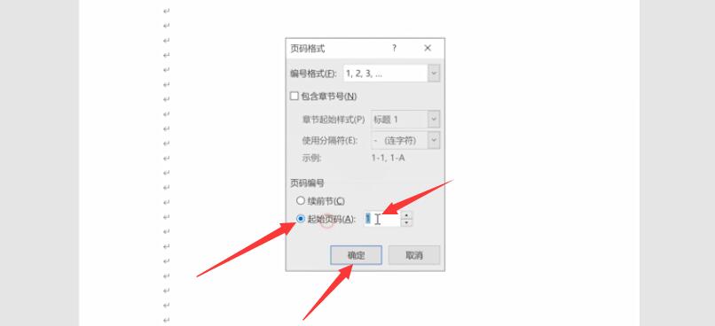 页码怎么从任意页开始(6)