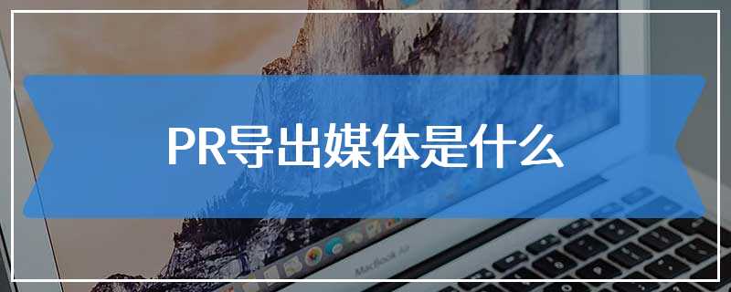 PR导出媒体是什么