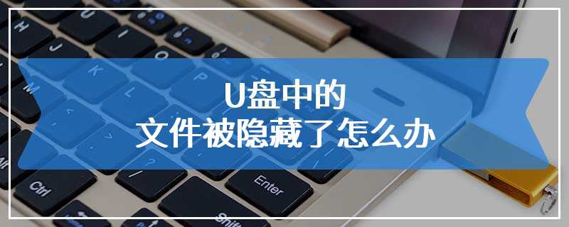 U盘中的文件被隐藏了怎么办