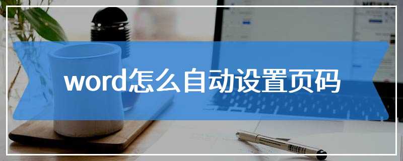 word怎么自动设置页码