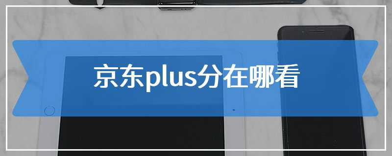 京东plus分在哪看