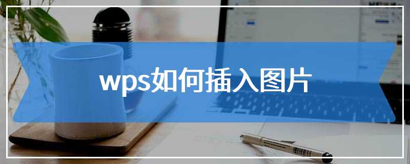 wps如何插入图片