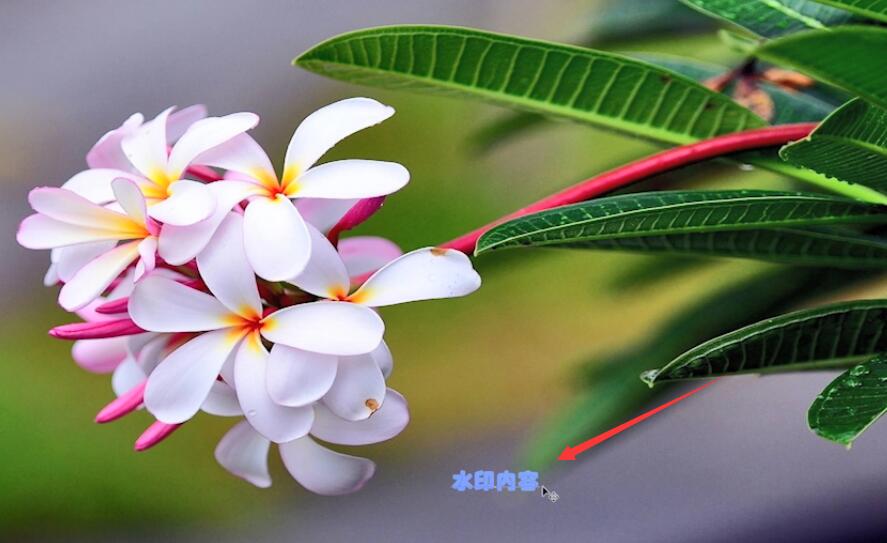 用ps怎么改图片上的字(4)