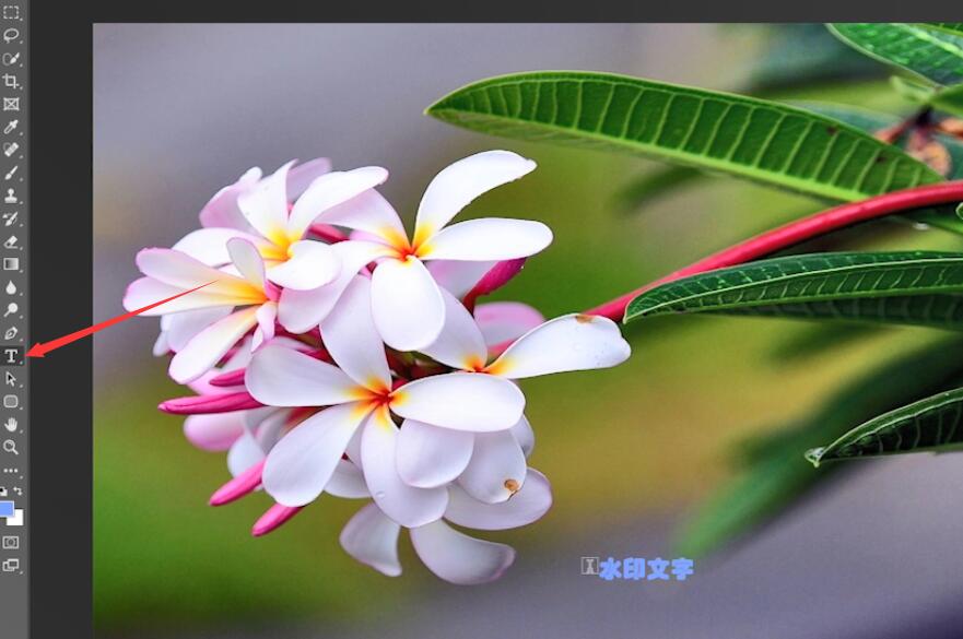 用ps怎么改图片上的字(2)