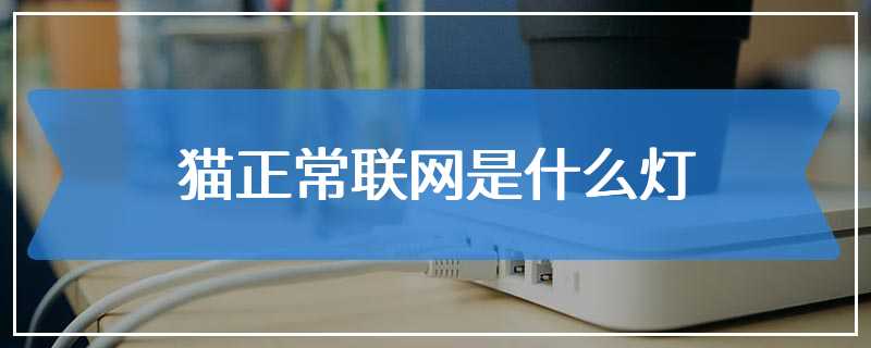 猫正常联网是什么灯