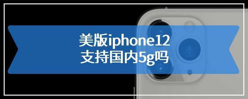 美版iphone12支持国内5g吗