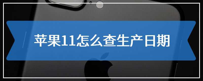 苹果11怎么查生产日期