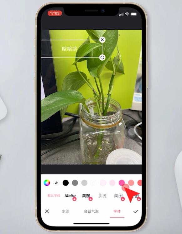 苹果手机怎么在照片上添加文字(7)