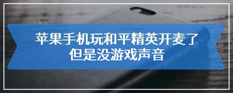 苹果手机玩和平精英开麦了但是没游戏声音