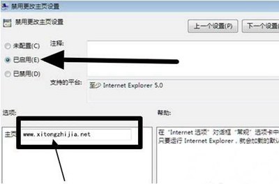 IE浏览器主页无法修改怎么办(6)