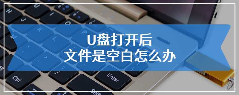 U盘打开后文件是空白怎么办