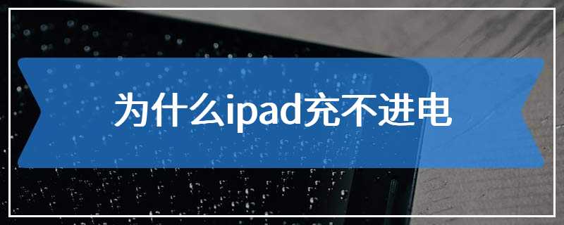 为什么ipad充不进电