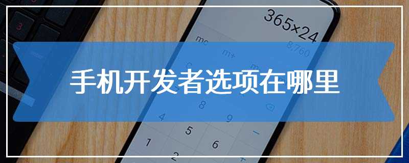 手机开发者选项在哪里