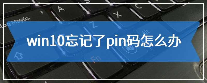 win10忘记了pin码怎么办