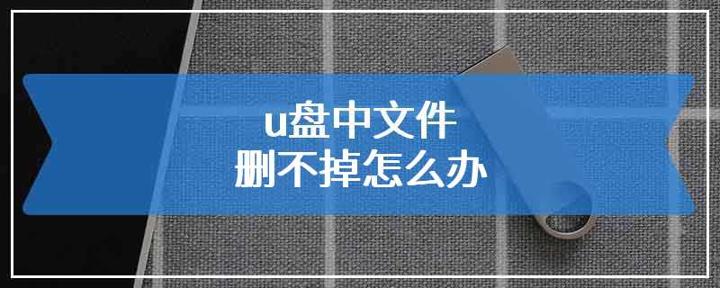 u盘中文件删不掉怎么办