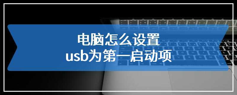 电脑怎么设置usb为第一启动项